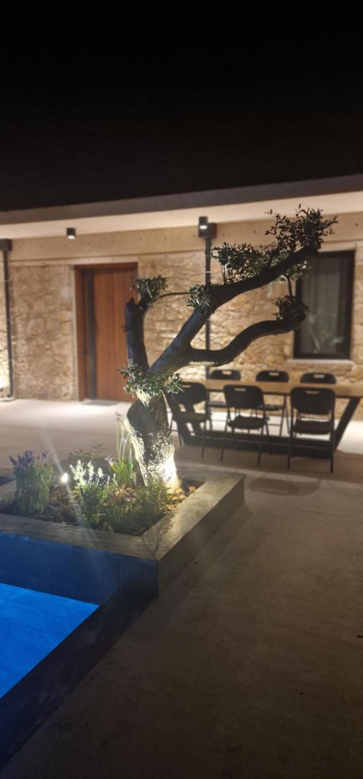 Phaedrus Living Olive Grove Luxury Villa Paphos Exterior foto